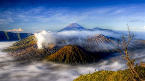 bromo videos free